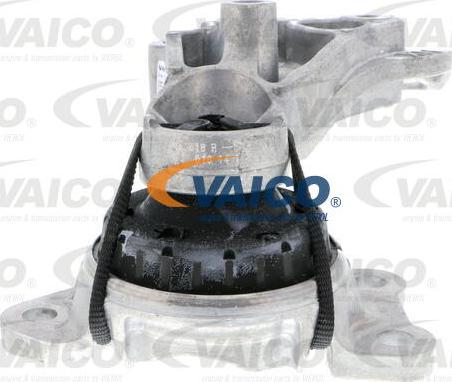 VAICO V46-0767 - Nosač motora www.molydon.hr