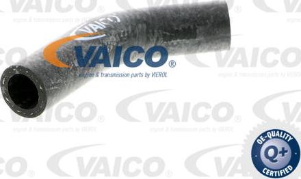 VAICO V40-0367 - Crijevo hladnjaka www.molydon.hr