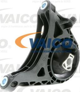 VAICO V40-1069 - Nosač motora www.molydon.hr