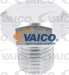 VAICO V40-2054 - Čep kartera www.molydon.hr