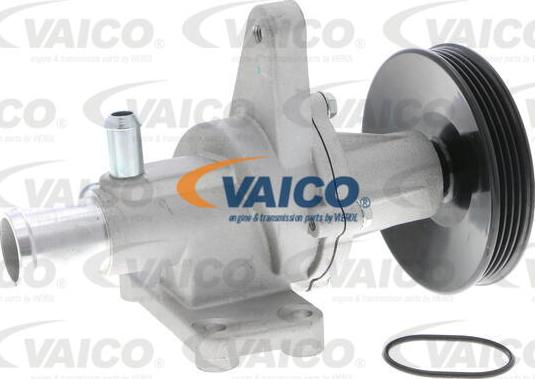 VAICO V51-50005 - Vodena pumpa www.molydon.hr