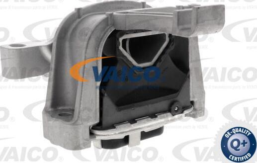 VAICO V10-4917 - Nosač motora www.molydon.hr