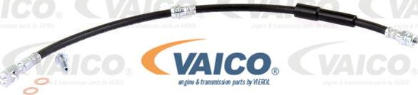 VAICO V10-4138 - Kočiono crijevo, lajtung www.molydon.hr