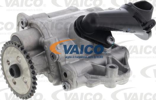 VAICO V10-4265 - Pumpa za ulje www.molydon.hr