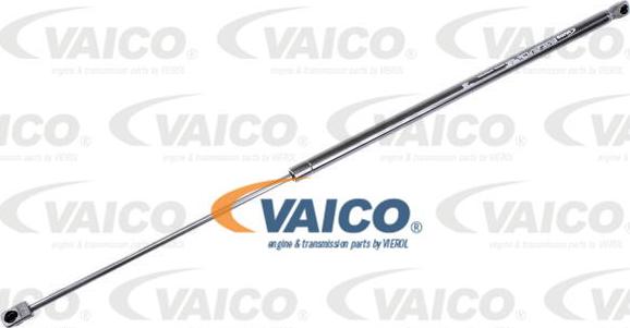 VAICO V10-4701 - Plinski amortizer, hauba motora www.molydon.hr