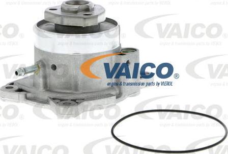 VAICO V10-50081 - Vodena pumpa www.molydon.hr