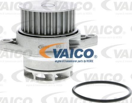 VAICO V10-50037 - Vodena pumpa www.molydon.hr