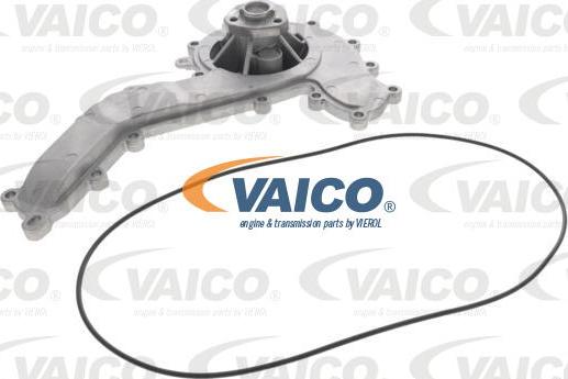 VAICO V10-50104 - Vodena pumpa www.molydon.hr