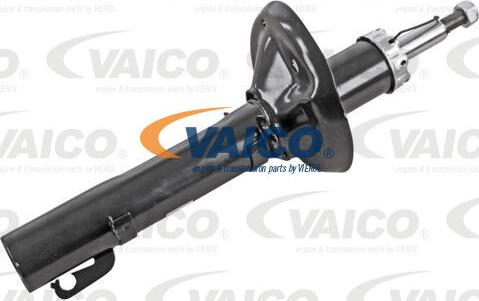 VAICO V10-5088 - Amortizer www.molydon.hr