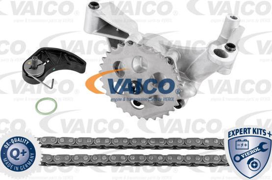 VAICO V10-5833 - Set lanca, pogon pumpe za ulje www.molydon.hr