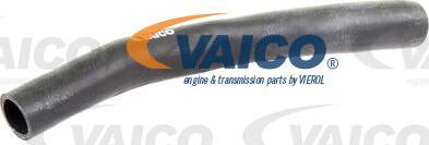 VAICO V10-0366 - Crijevo hladnjaka www.molydon.hr