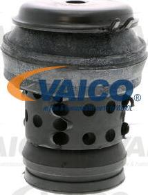 VAICO V10-1181 - Nosač motora www.molydon.hr