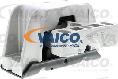 VAICO V10-1299 - Nosač motora www.molydon.hr