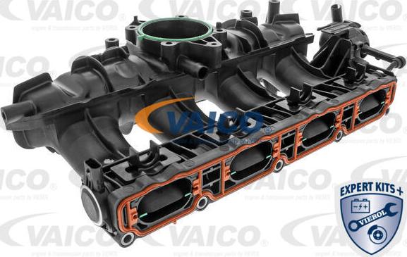 VAICO V10-3954 - Modul usisne Cijevi www.molydon.hr