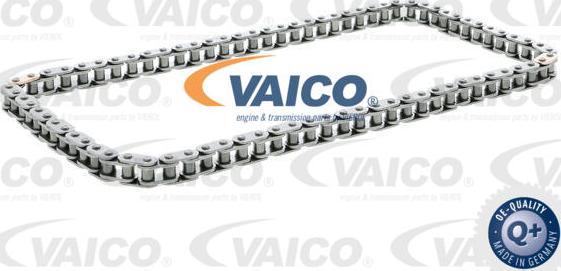 VAICO V10-5846 - Set lanca, pogon pumpe za ulje www.molydon.hr