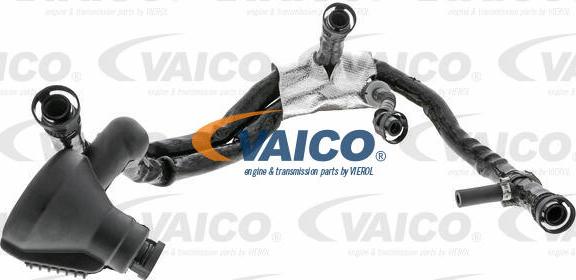 VAICO V10-3695 - Crijevo, odusak bloka motora www.molydon.hr