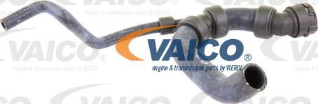 VAICO V10-3195 - Crijevo hladnjaka www.molydon.hr