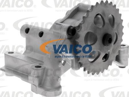 VAICO V10-3702 - Pumpa za ulje www.molydon.hr