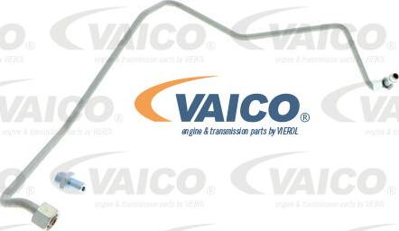 VAICO V10-3733 - Cijevovod  za ulje, punjač www.molydon.hr