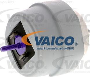 VAICO V10-2960 - Nosač motora www.molydon.hr