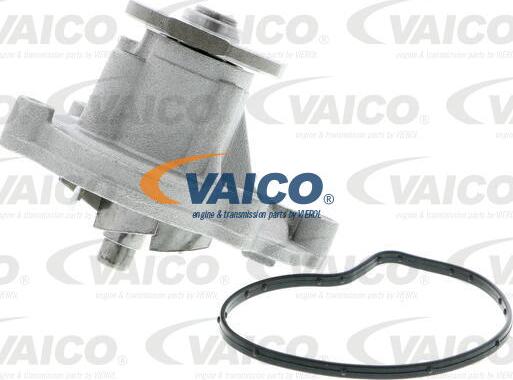 VAICO V30-50056 - Vodena pumpa www.molydon.hr