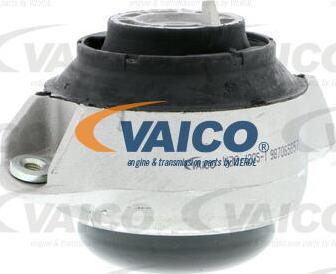 VAICO V30-1205-1 - Nosač motora www.molydon.hr