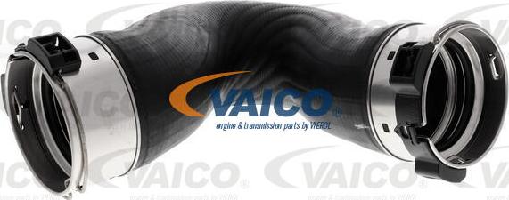 VAICO V30-3401 - Crijevo interkulera www.molydon.hr