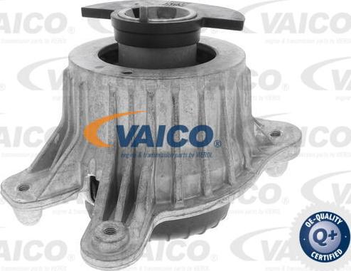 VAICO V30-3099 - Nosač motora www.molydon.hr