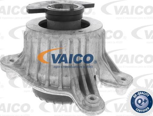VAICO V30-3100 - Nosač motora www.molydon.hr