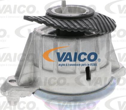 VAICO V30-2199 - Nosač motora www.molydon.hr