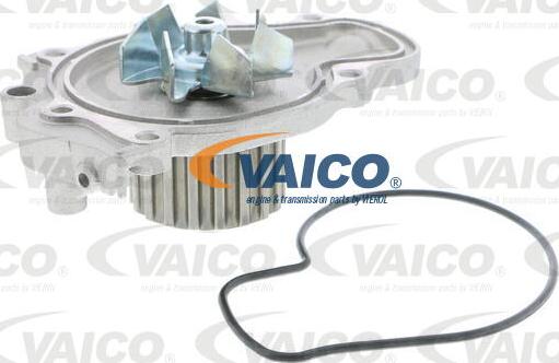 VAICO V26-50014 - Vodena pumpa www.molydon.hr