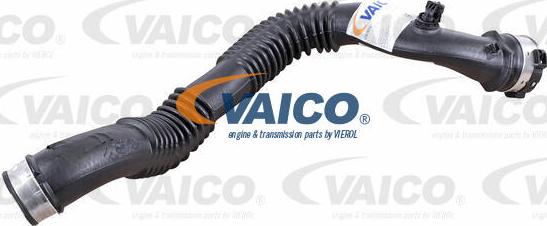 VAICO V20-9815 - Crijevo interkulera www.molydon.hr