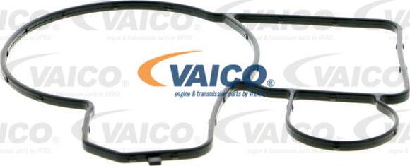 VAICO V20-50039 - Vodena pumpa www.molydon.hr