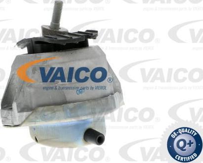 VAICO V20-0498 - Nosač motora www.molydon.hr