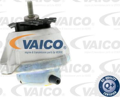 VAICO V20-0497 - Nosač motora www.molydon.hr