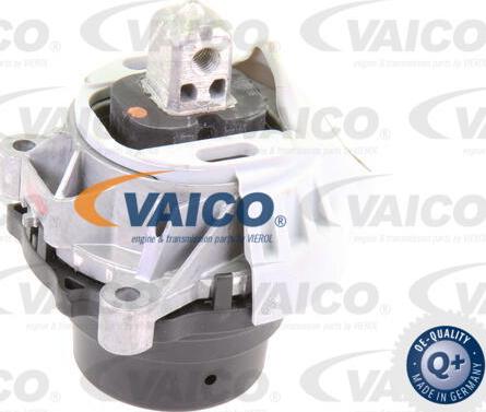 VAICO V20-1558 - Nosač motora www.molydon.hr