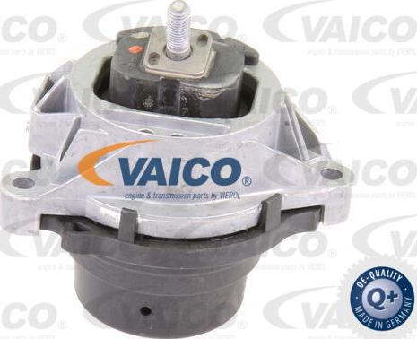 VAICO V20-1557 - Nosač motora www.molydon.hr