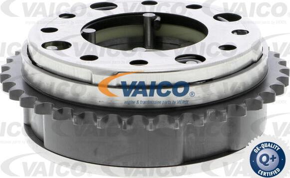 VAICO V20-3800 -  www.molydon.hr