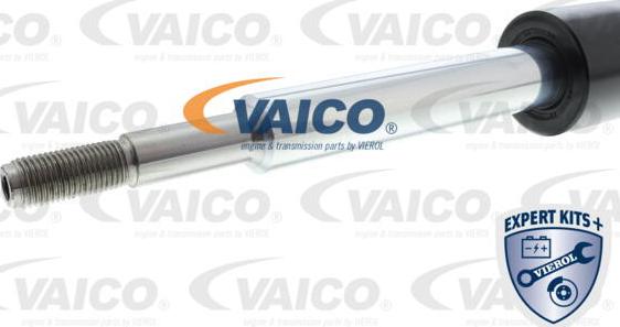 VAICO V20-7305 - Amortizer www.molydon.hr