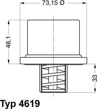 WAHLER 4619.80 - Termostat, rashladna tekućinu www.molydon.hr