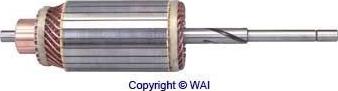 WAI 61-115 - Rotor, starter www.molydon.hr