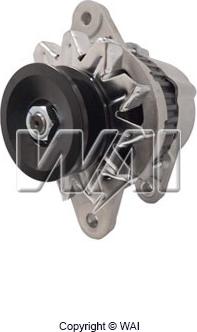 WAI 12431N - Alternator www.molydon.hr