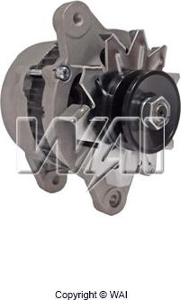 WAI 12132N - Alternator www.molydon.hr