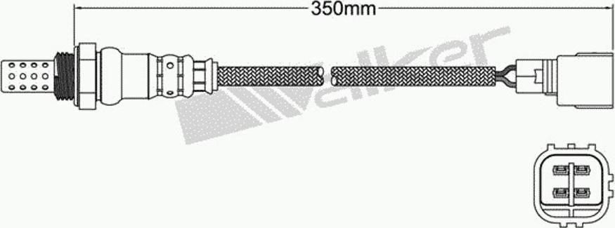 Walker 250-24906 - Lambda-sonda www.molydon.hr