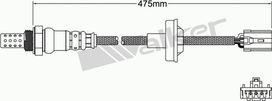 Walker 250-24979 - Lambda-sonda www.molydon.hr