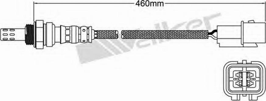 Walker 250-24461 - Lambda-sonda www.molydon.hr