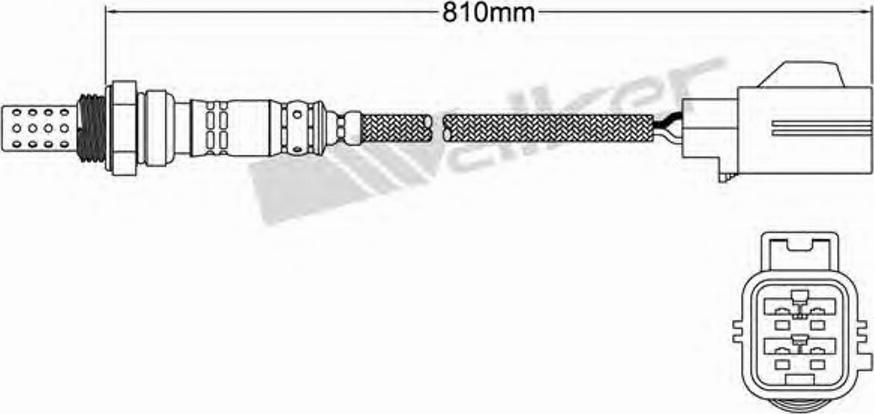 Walker 250-24408 - Lambda-sonda www.molydon.hr