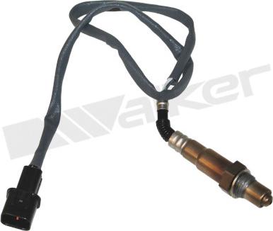 Walker Products 350-34209 - Lambda-sonda www.molydon.hr