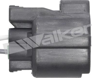 Walker Products 250-24922 - Lambda-sonda www.molydon.hr