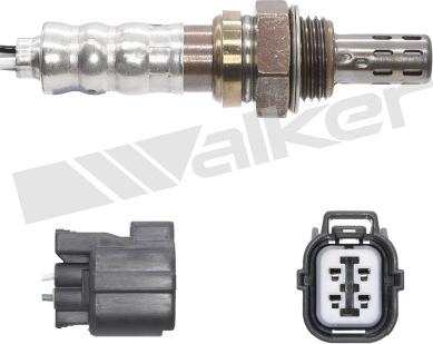 Walker Products 250-24922 - Lambda-sonda www.molydon.hr